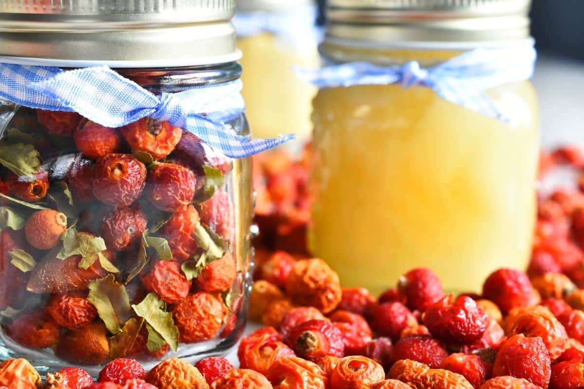 Dried rose hips in and around a jar