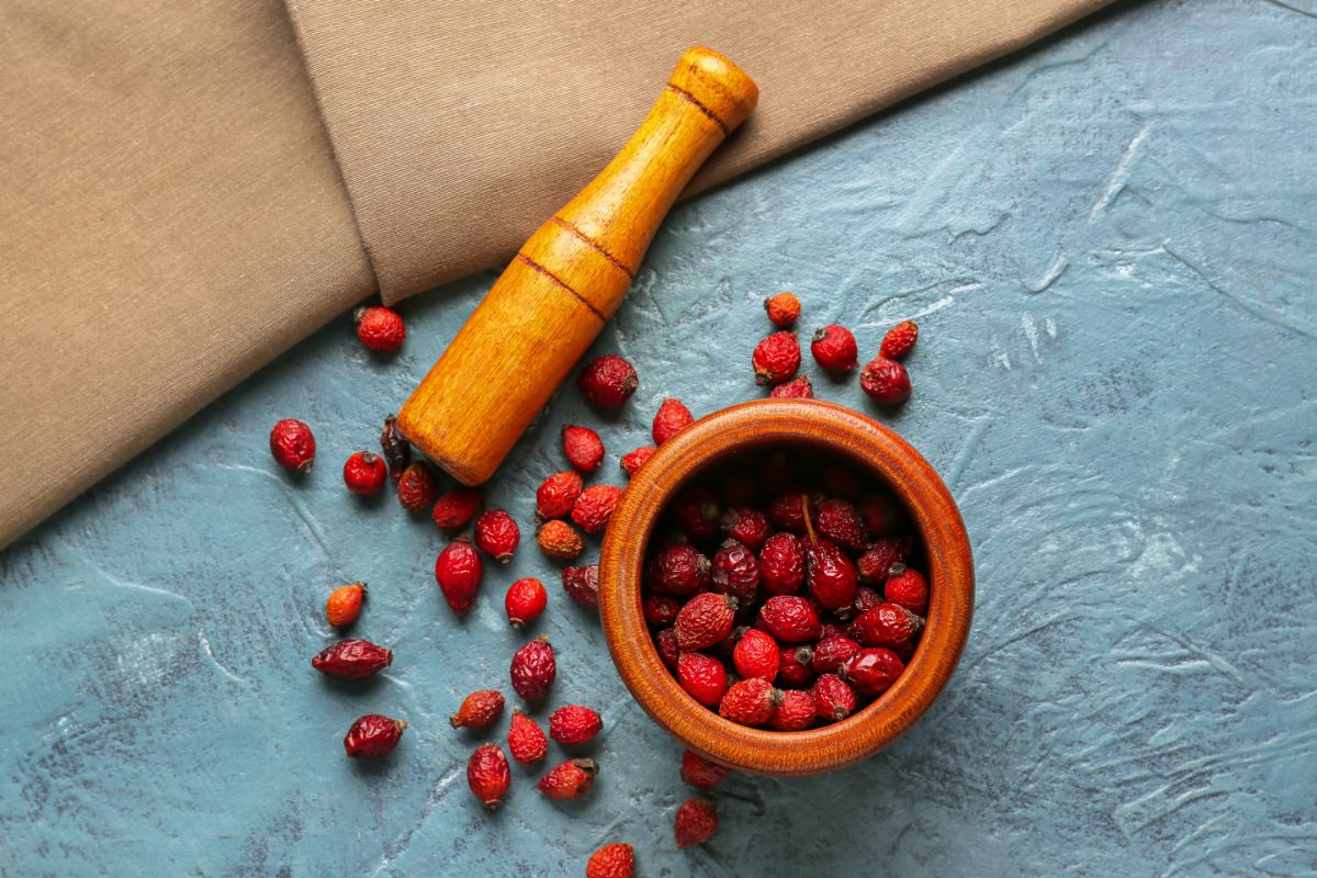 Rose hips ready to crush in a mortar and pestle