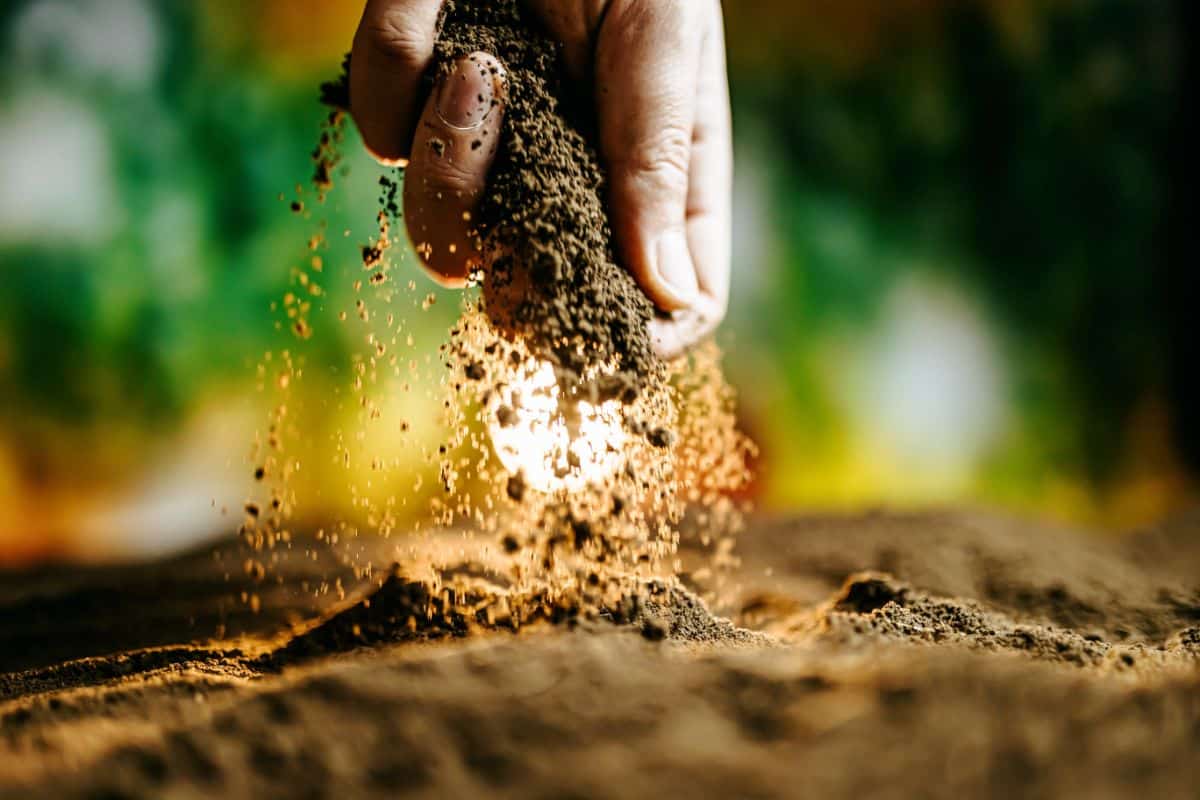 Sifting soil through hands