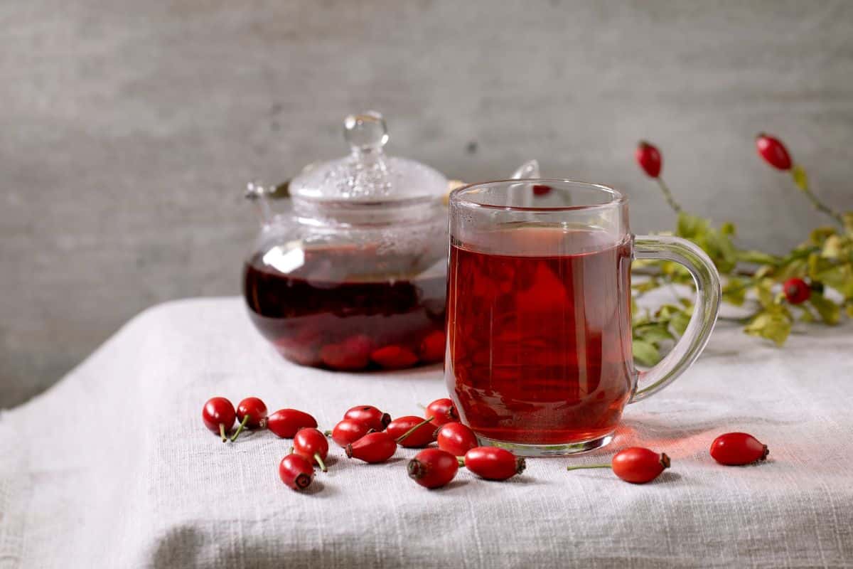 Pretty red rose hip tea
