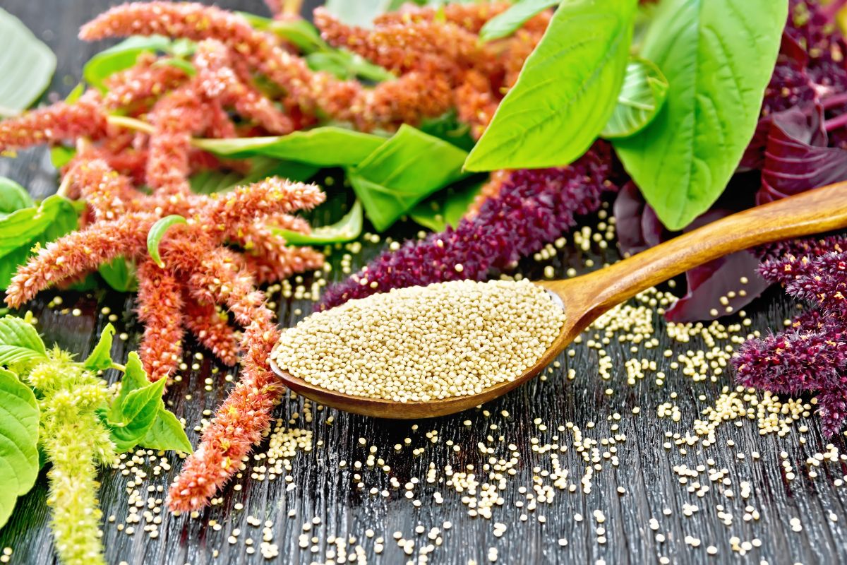 Amaranth and seeds on a table
