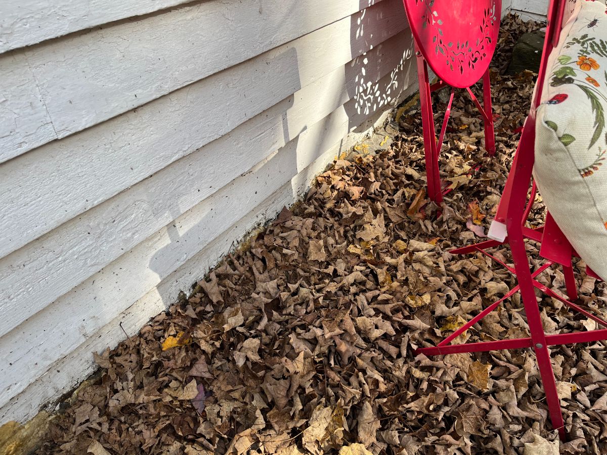 Leaves piled up on a porch