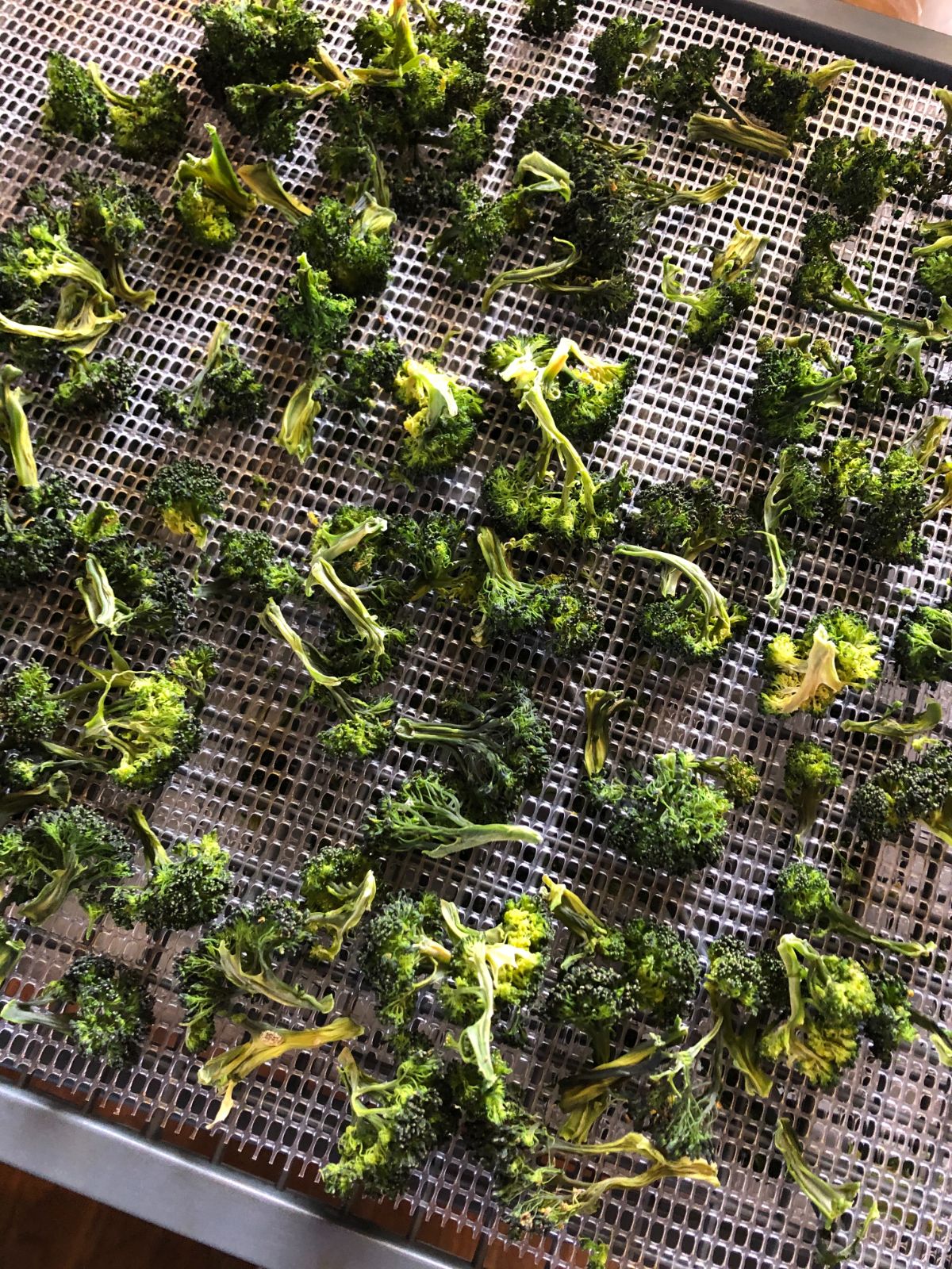 Broccoli dried on mesh tray liners in a dehydrator