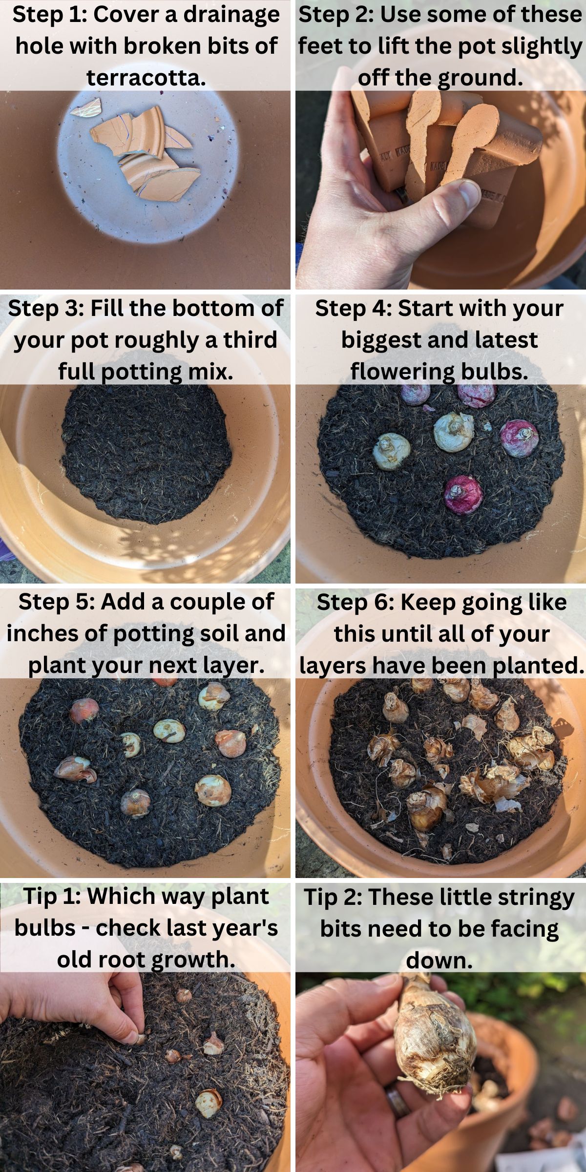 How to Plant a Bulb Lasagna collage.