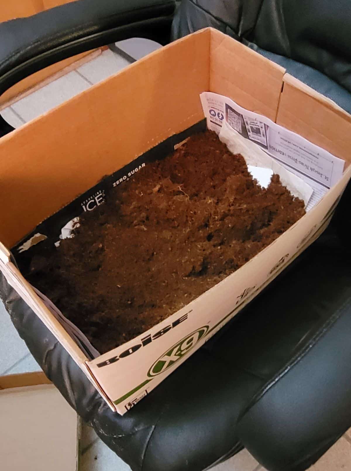 A medium sized box used for cardboard box composting