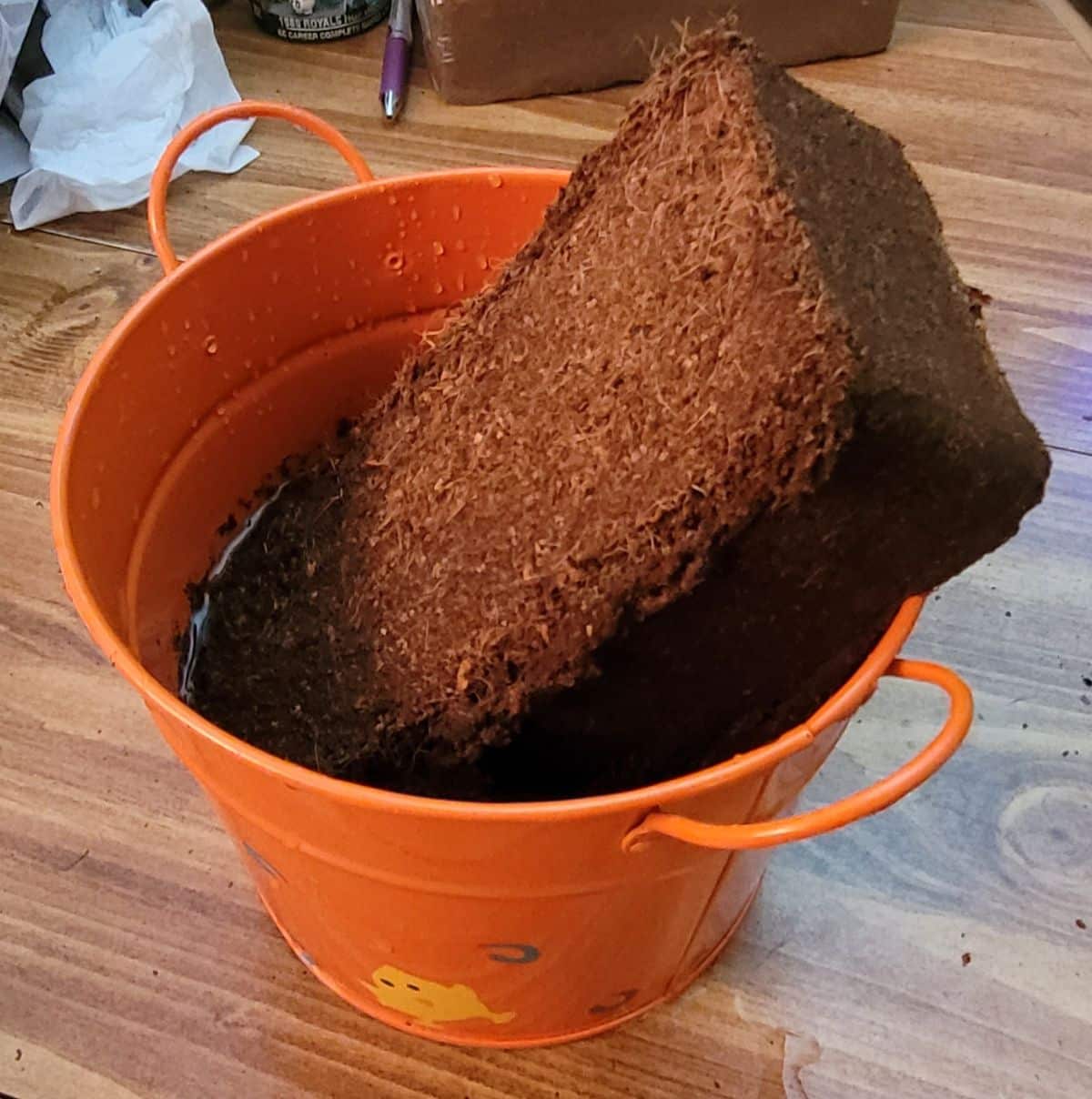 Soaking coco coir in water
