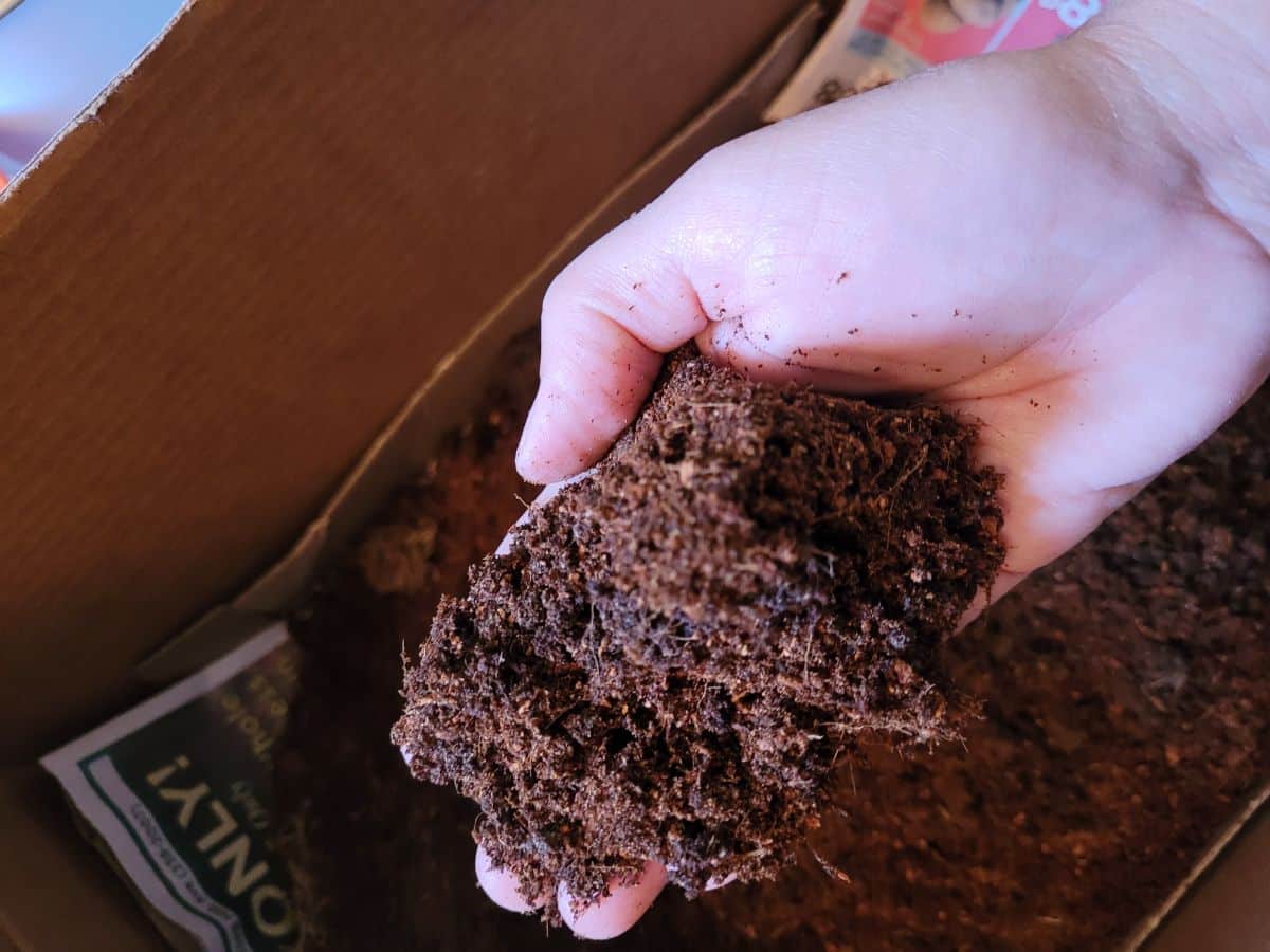 Coco coir used in a cardboard box composting system