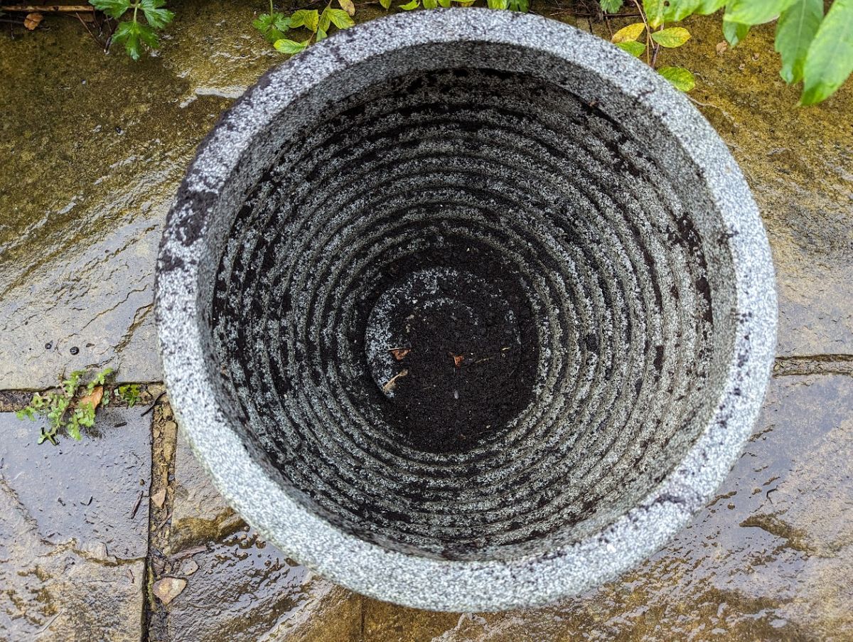 An empty pot ready to plant with alliums