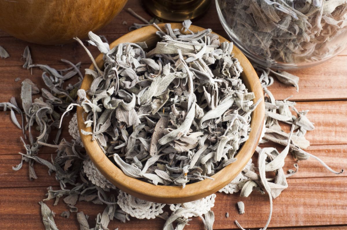 Dried common sage in a bowl
