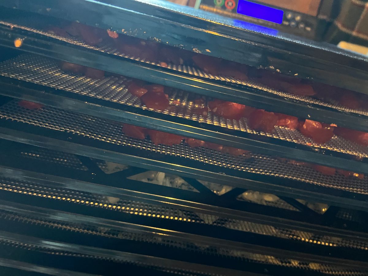 A dehydrator filled with drying vegetables