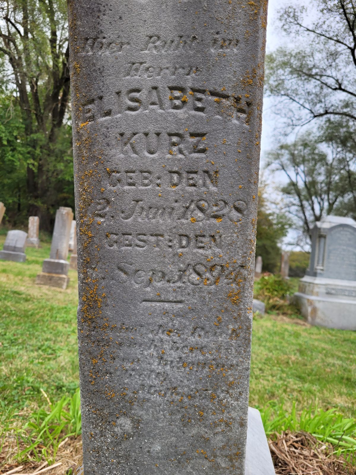 A gravestone in a cemetery where antique rose remnants were found