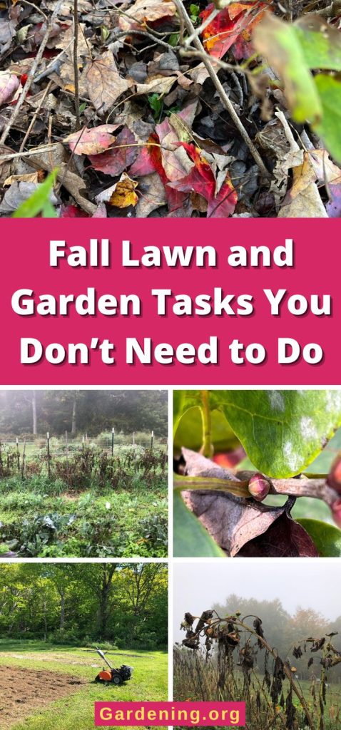 Fall Lawn and Garden Tasks You Don’t Need to Do pinterest image.