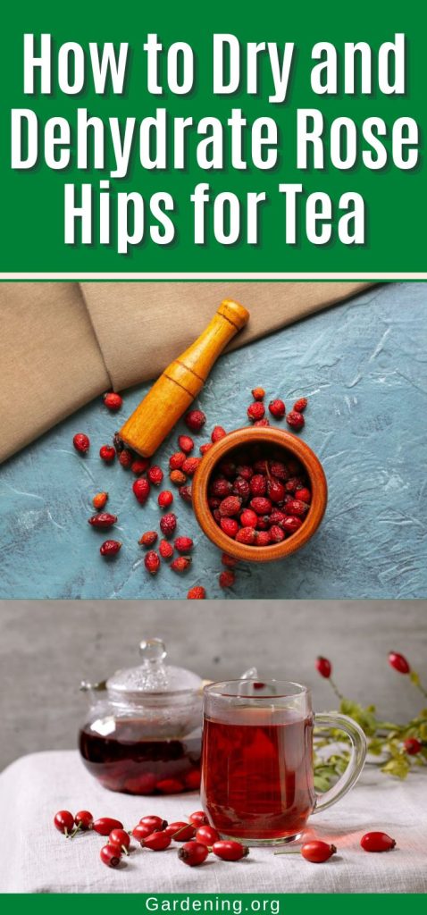 How to Dry and Dehydrate Rose Hips for Tea pinterest image.