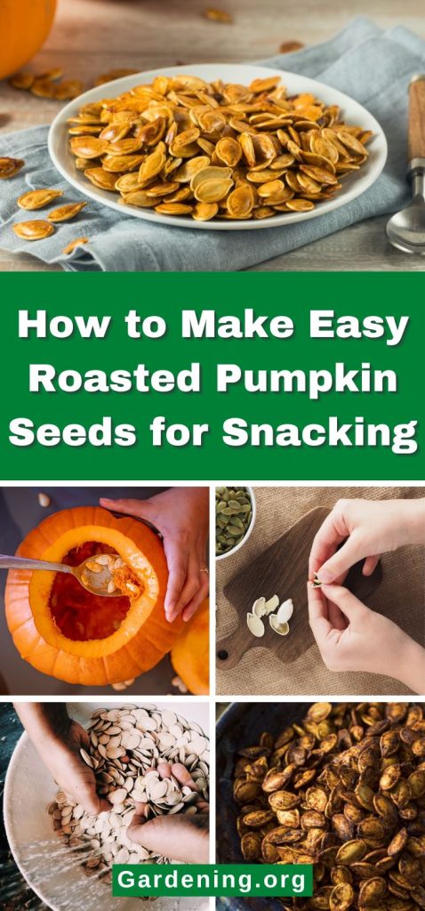 How to Make Easy Roasted Pumpkin Seeds for Snacking pinterest image.