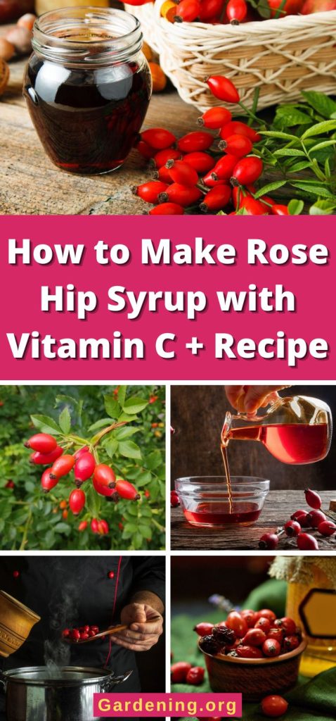 How to Make Rose Hip Syrup with Vitamin C + Recipe pinterest image.