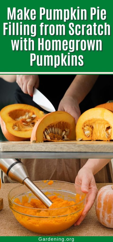 Make Pumpkin Pie Filling from Scratch with Homegrown Pumpkins pinterest image.