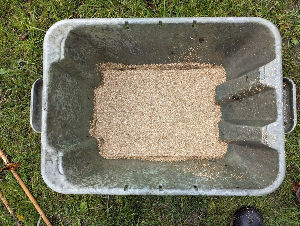 Vermiculite int eh bottom of a dahlia storage tub