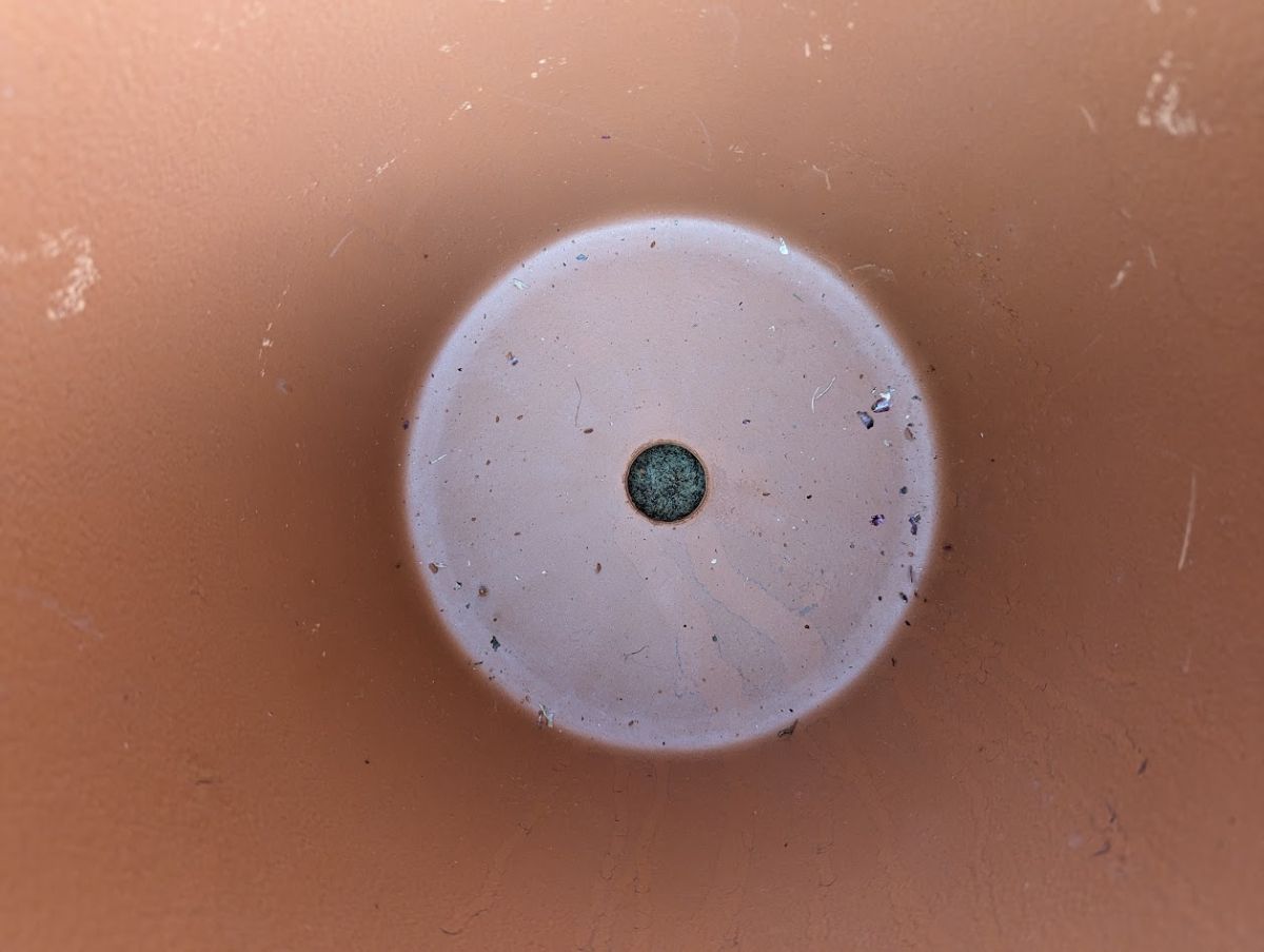 A drainage hole in an allium pot