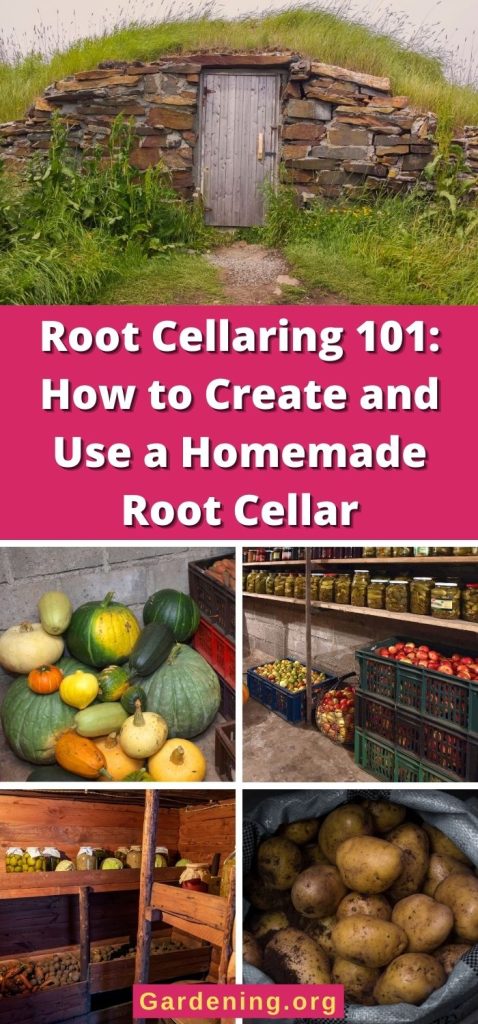 Root Cellaring 101: How to Create and Use a Homemade Root Cellar pinterest image.