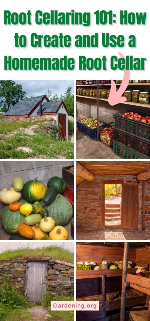 Root Cellaring 101: How to Create and Use a Homemade Root Cellar pinterest image.