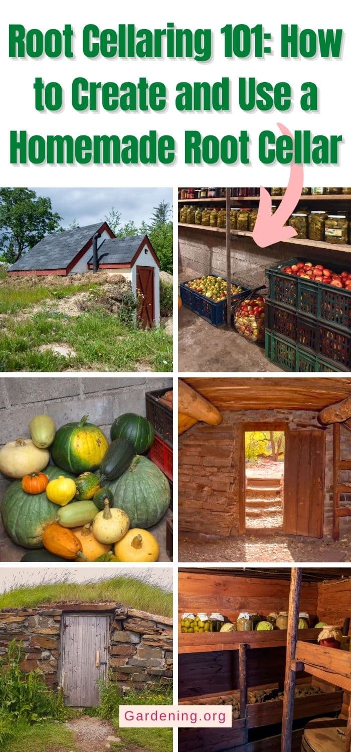 Root Cellaring Root Cellaring 101: How to Create and Use a Root Cellar