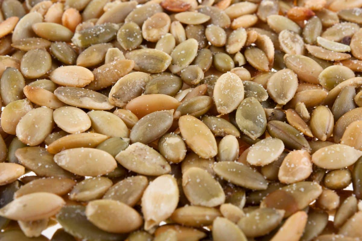 Seasoned pumpkin seeds