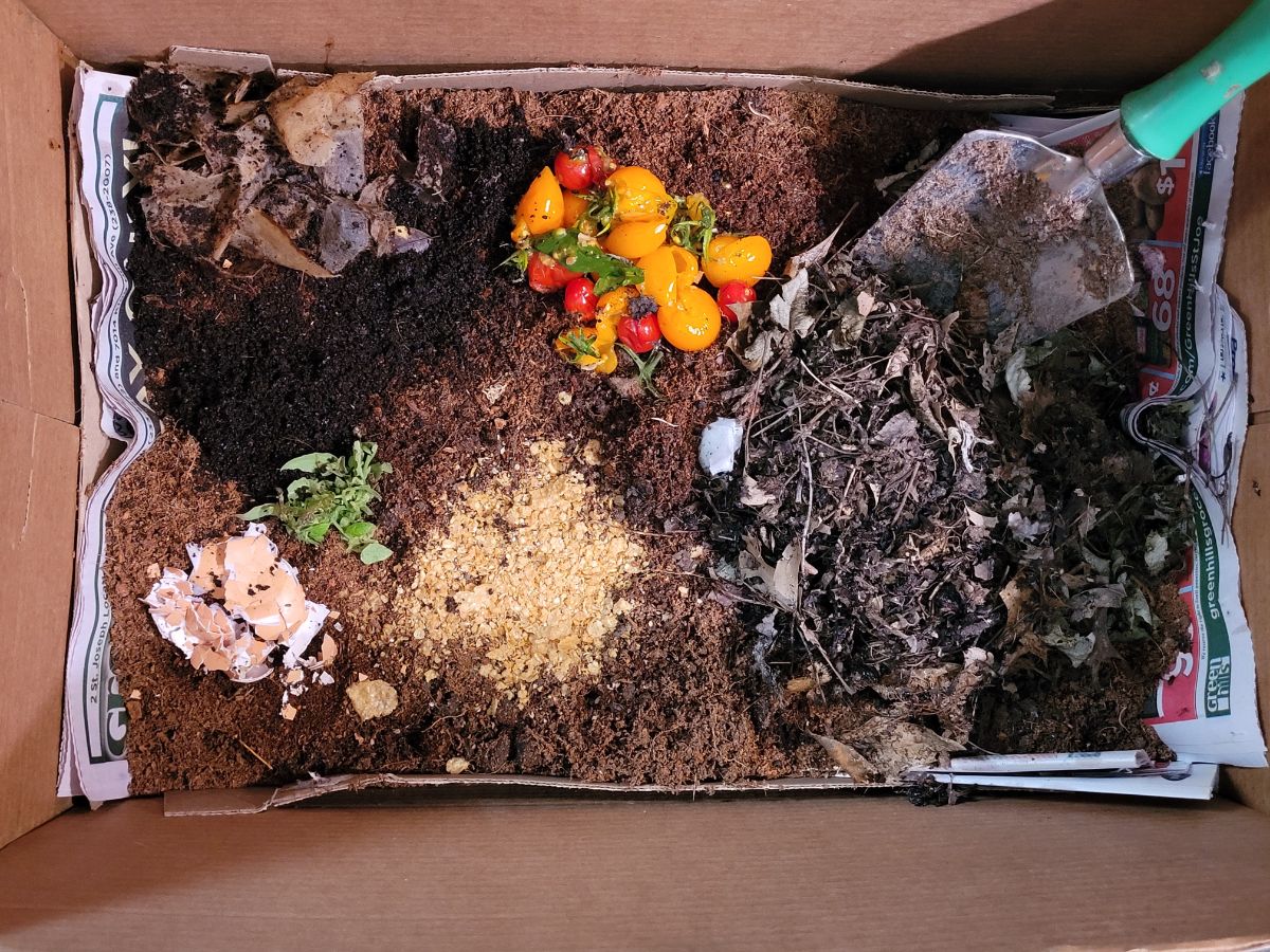 Japanese Cardboard Box Indoor Composting System (Complete Guide) - Gardening