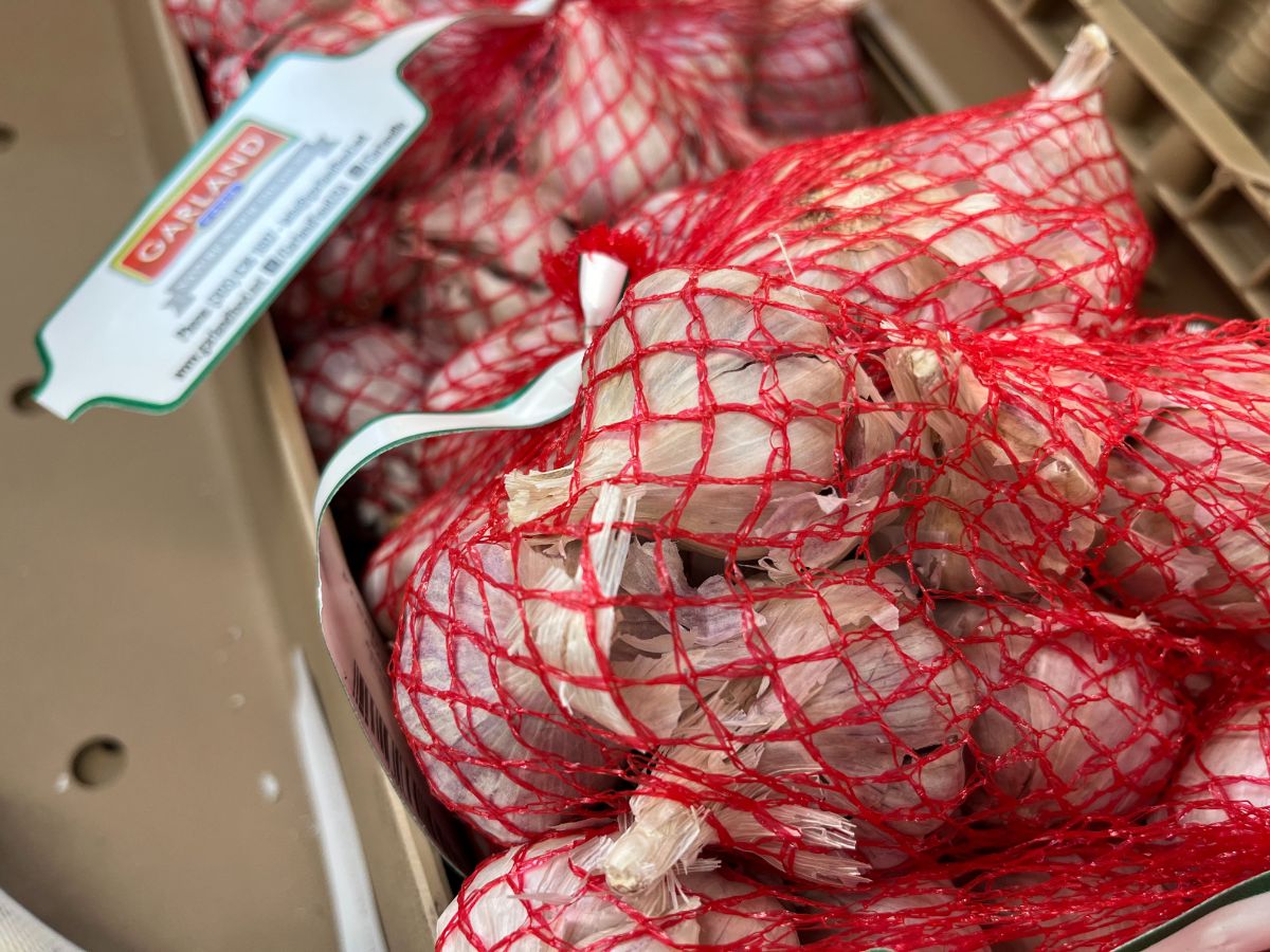 A net bag of grocery store garlic