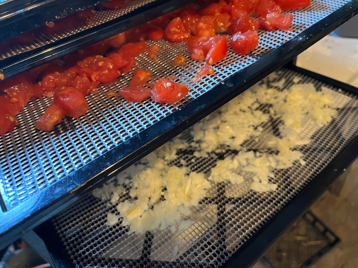 Minced onion and diced tomatoes in a dehydrator