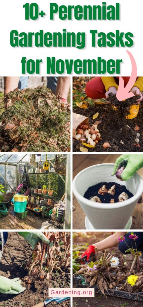 10+ Perennial Gardening Tasks for November pinterest image.