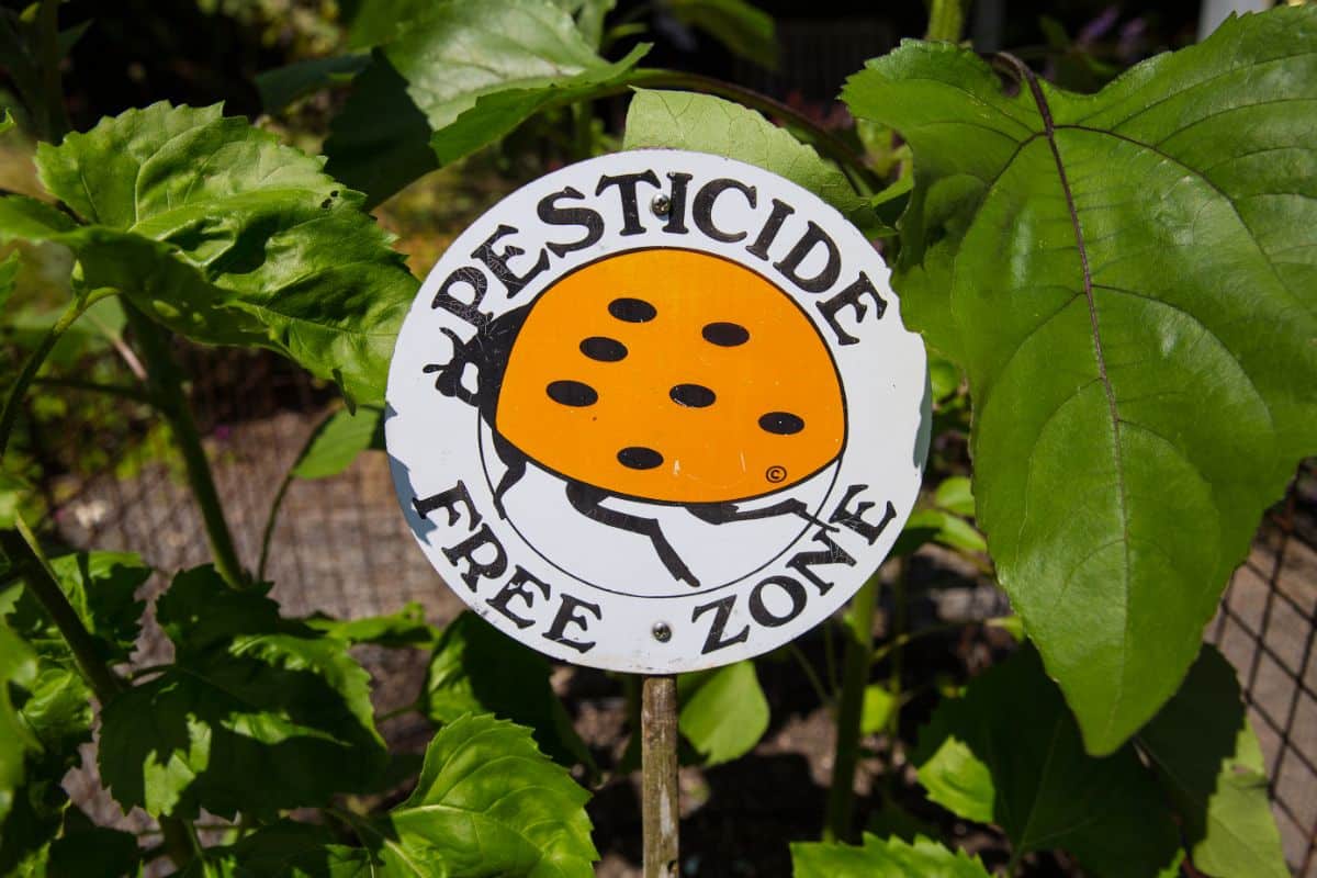 A pesticide free sign in a community garden
