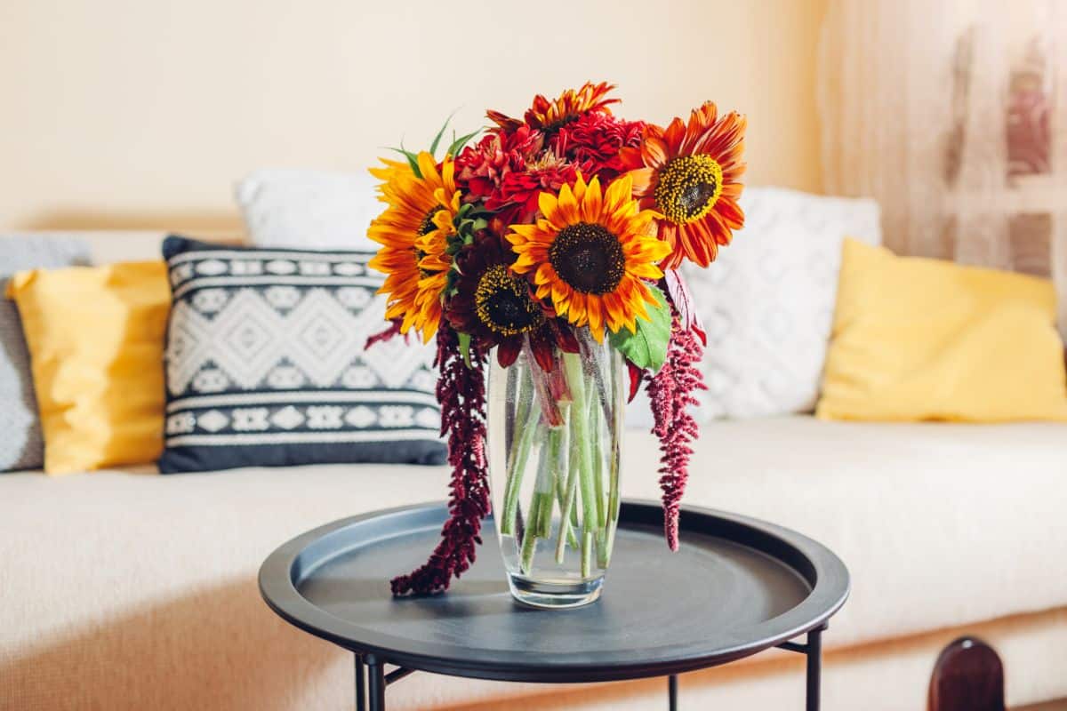 Sunflowers with trailing amaranth in a fresh arrangement