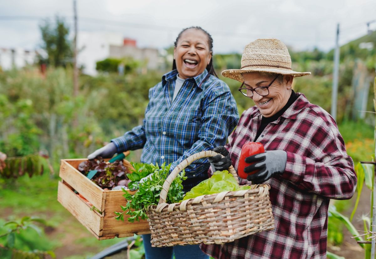 Friends harvesting together in a community garden