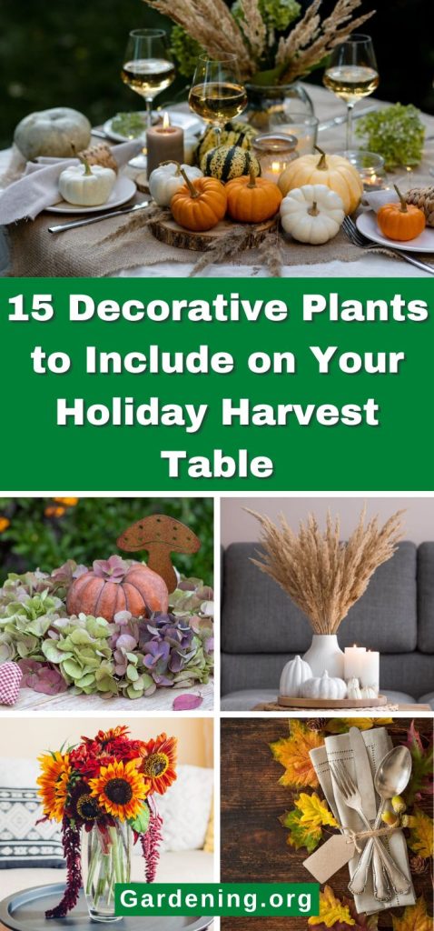 15 Decorative Plants to Include on Your Holiday Harvest Table pinterest image.