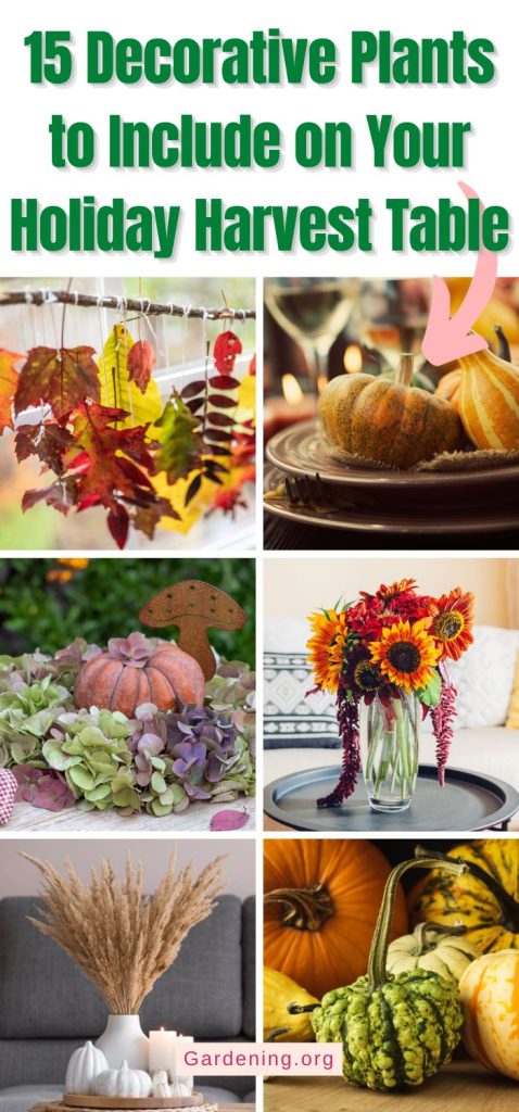 15 Decorative Plants to Include on Your Holiday Harvest Table pinterest image.