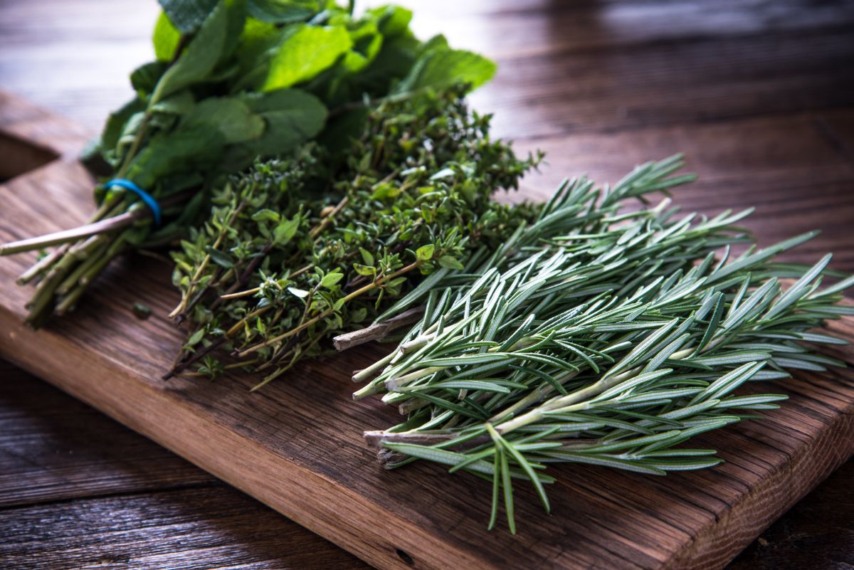 Bundles of cut herbs on a cutting board