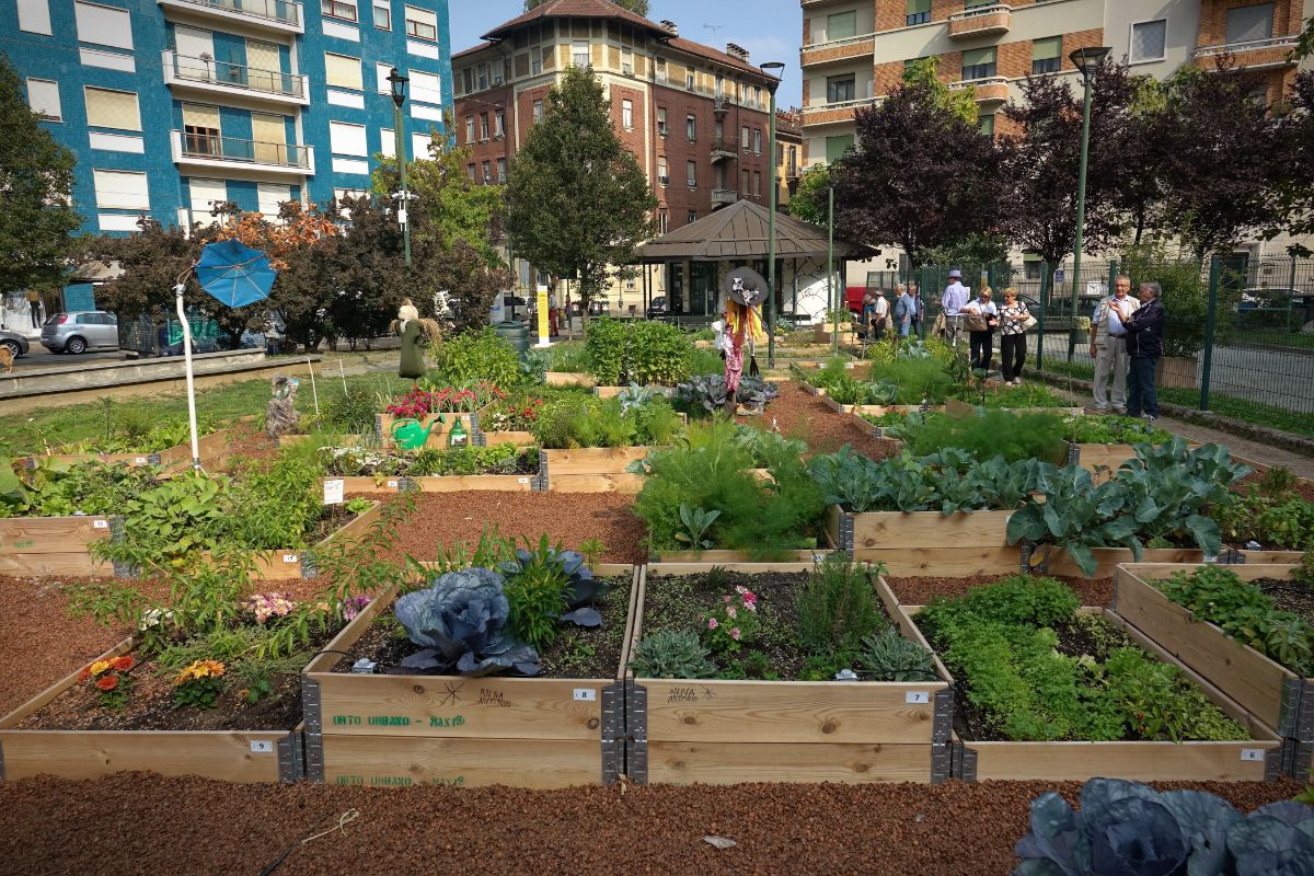 A community garden with raised beds