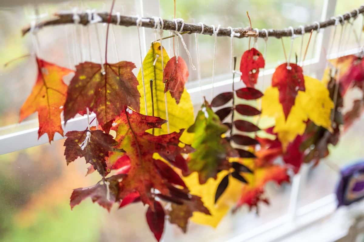 A decorative hanging made with fall leaves