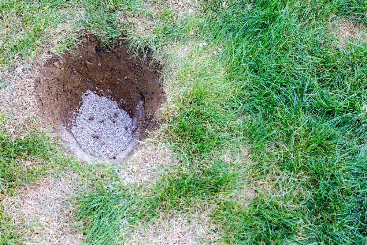 Gypsum in a planting hole