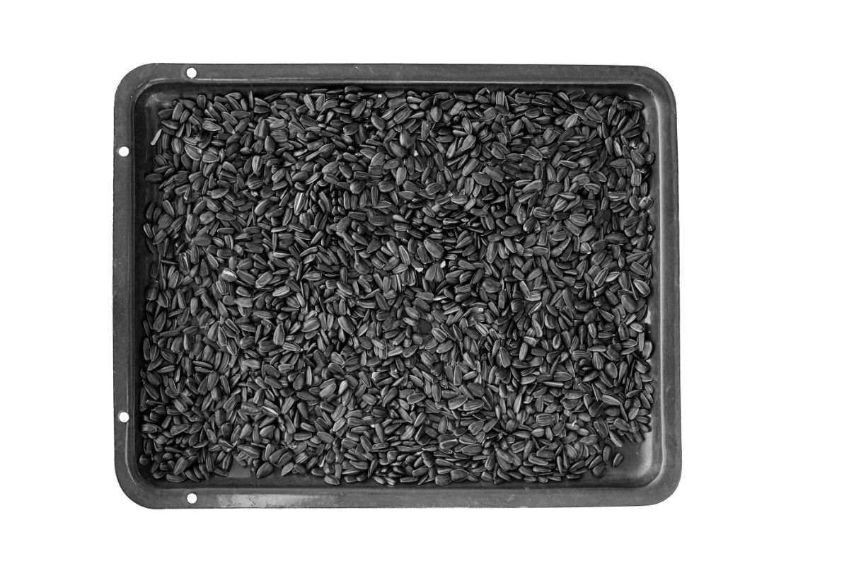 A pan of roasted sunflower seeds