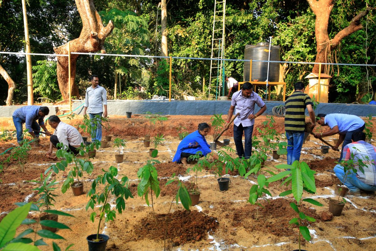 People planting a mini or microforest