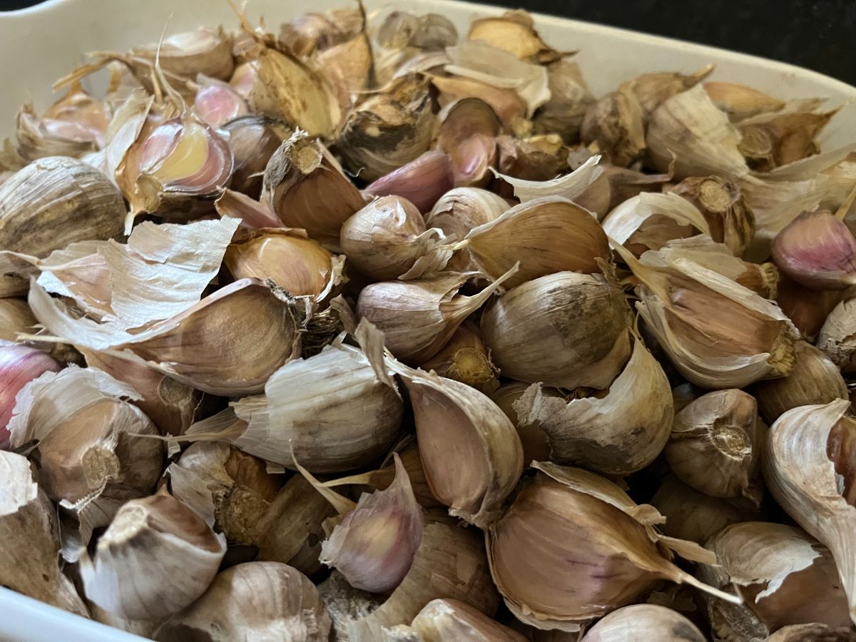 Garlic cloves ready to soak before planting
