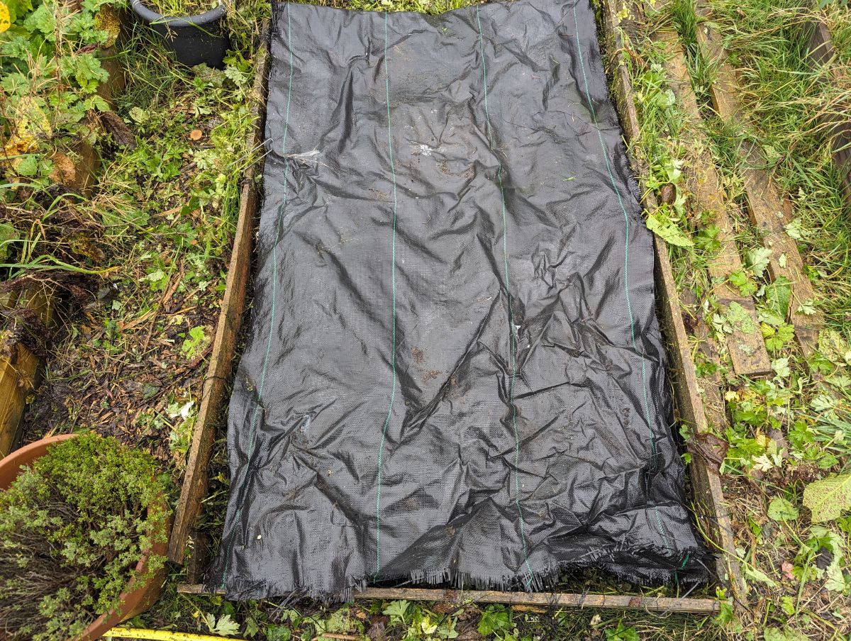 Black plastic covering on a raised bed