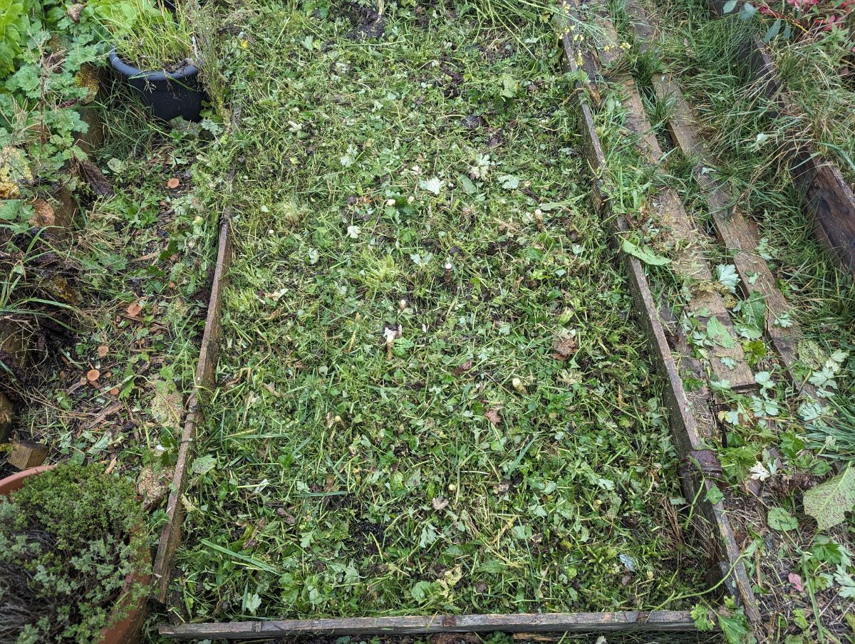 A raised bed after trimming with a weed trimmer