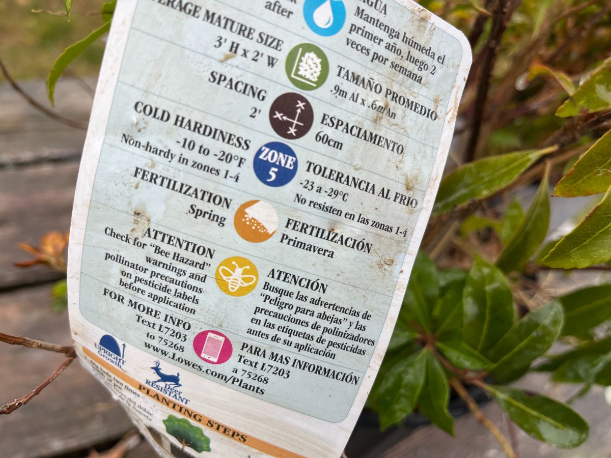 Temperatures and zone listed together on a plant tag