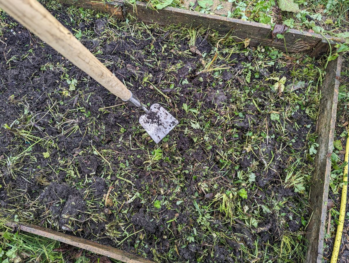 A hoe used to remove perennial weeds