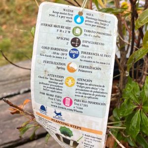 A plant label with instructions and a hardiness zone.
