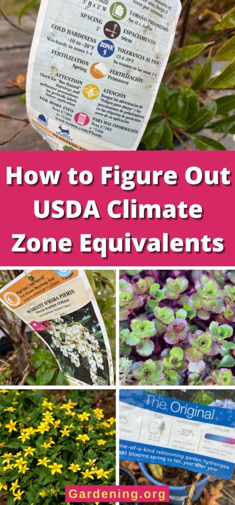 How to Figure Out USDA Climate Zone Equivalents pinterest image.