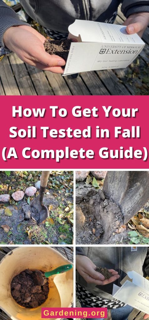 How To Get Your Soil Tested in Fall (A Complete Guide) pinterest image.