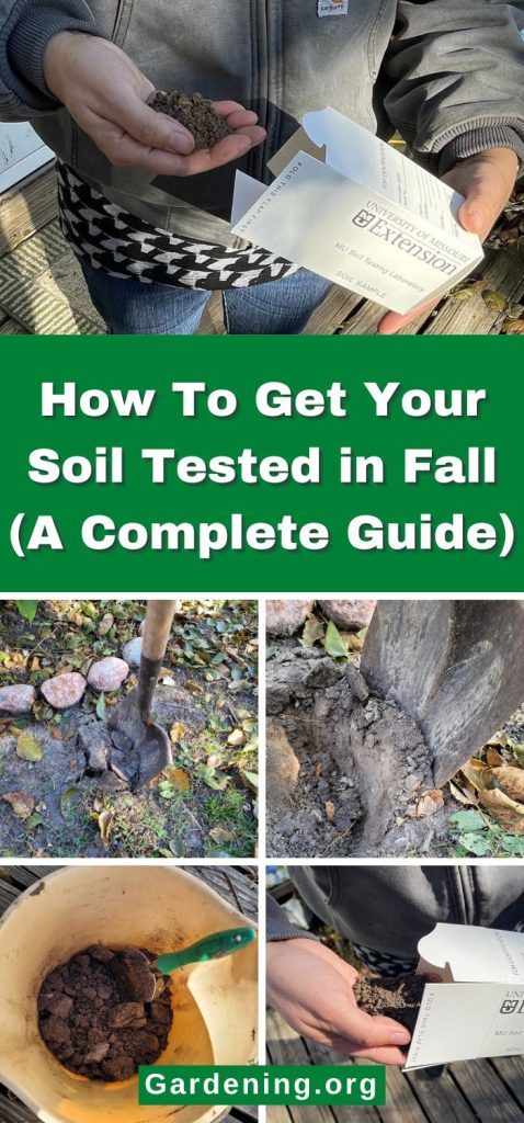 How To Get Your Soil Tested in Fall (A Complete Guide) pinterest image.